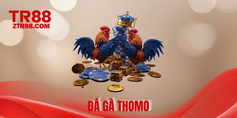 Đá Gà Thomo - Tận Hưởng Trò Chơi Giải Trí Hay Với Quà Khủng